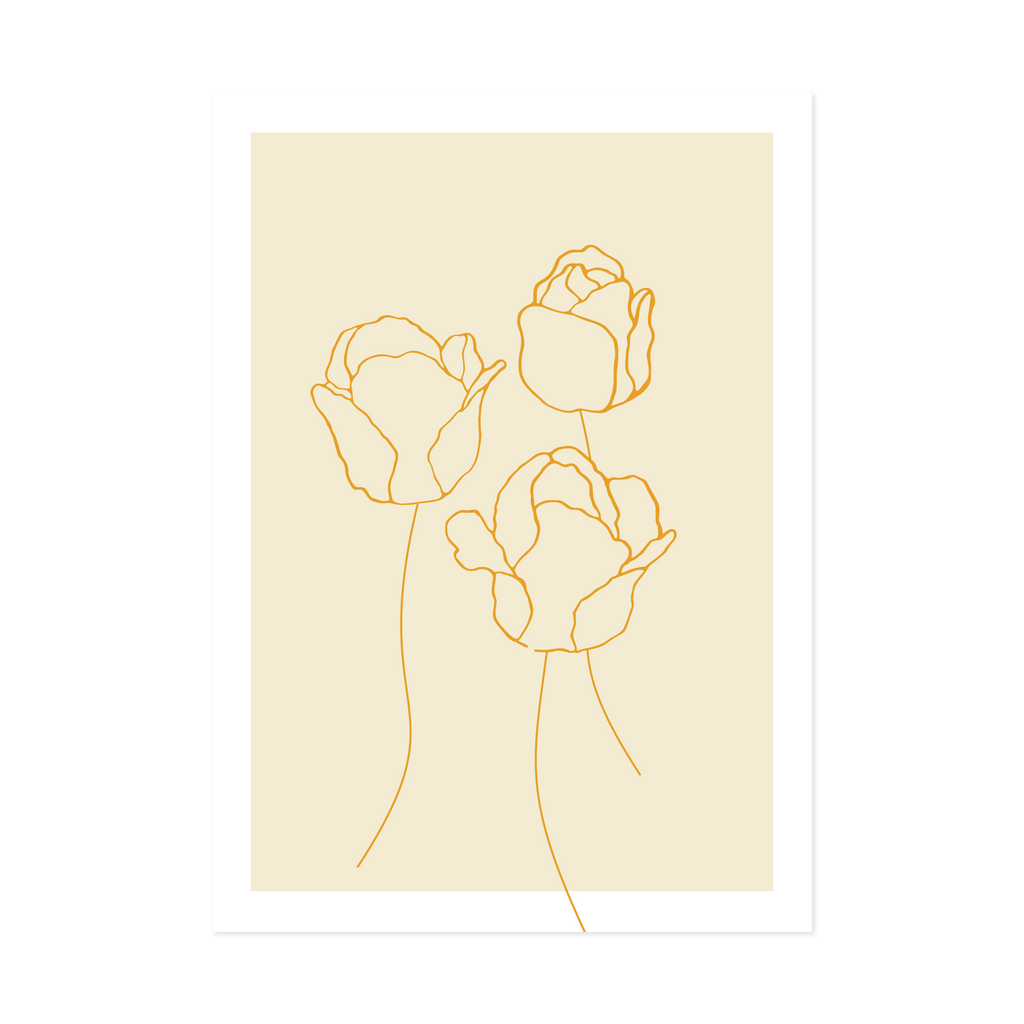Tulips Orange