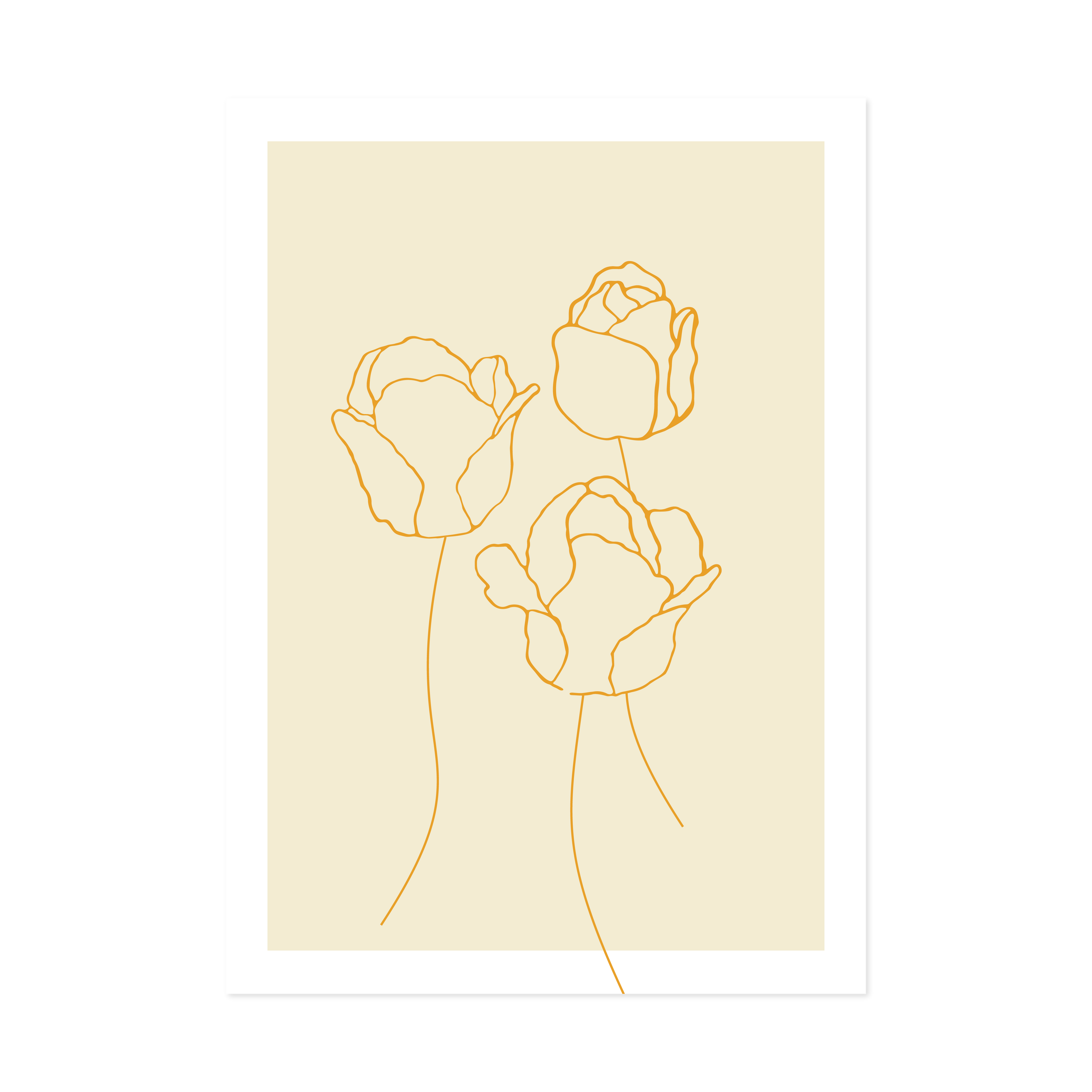 Tulips Orange