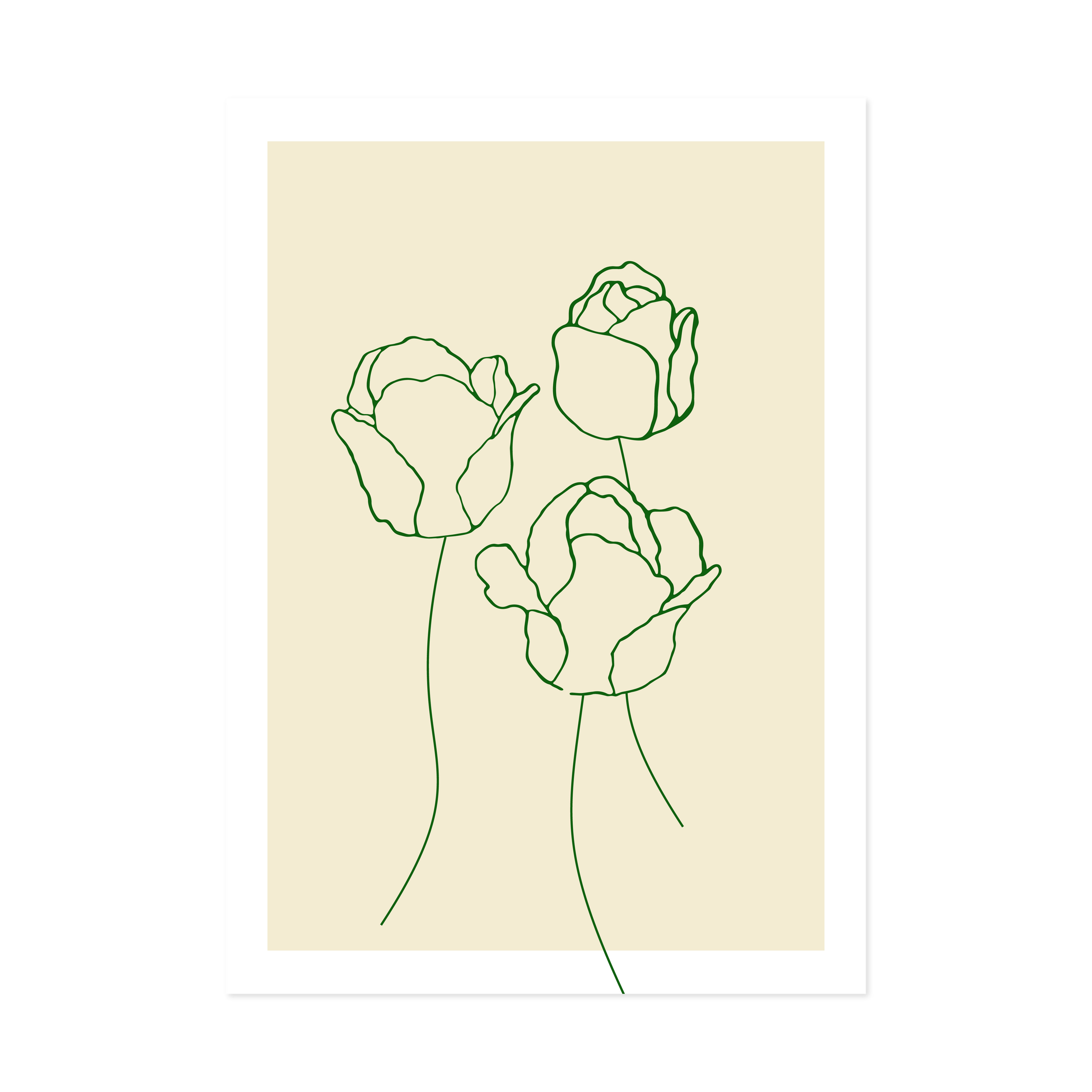 Tulips Green