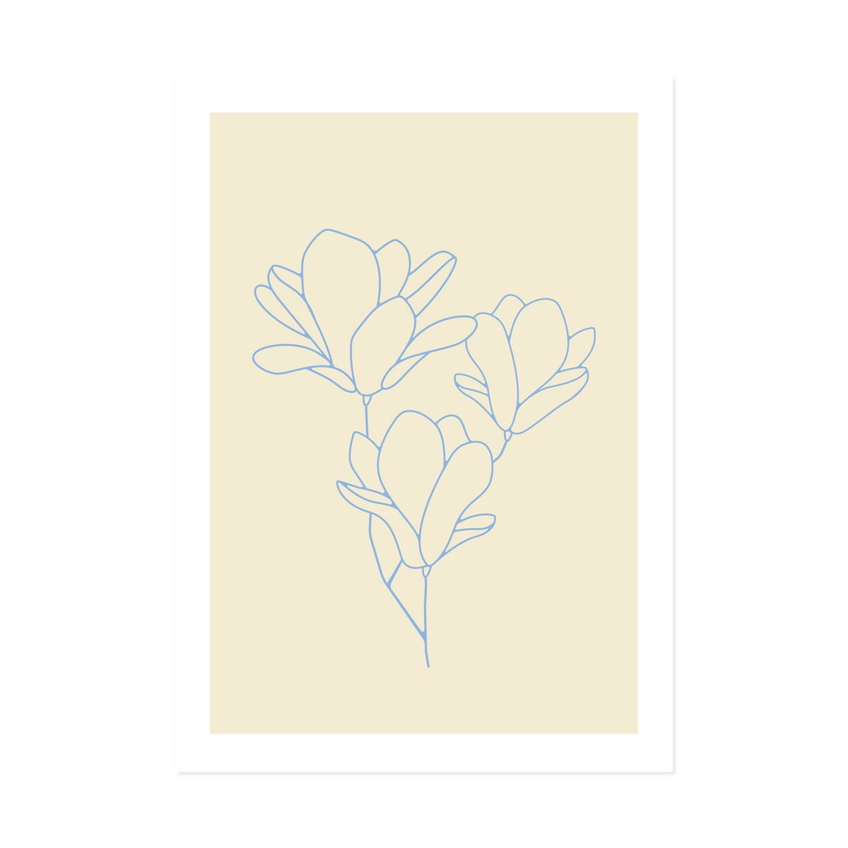 Magnolia Blue