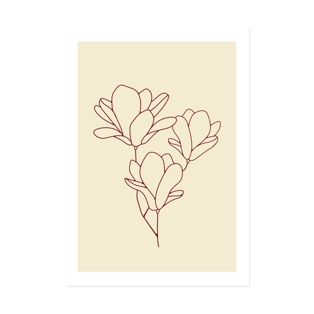 Magnolia Burgundy