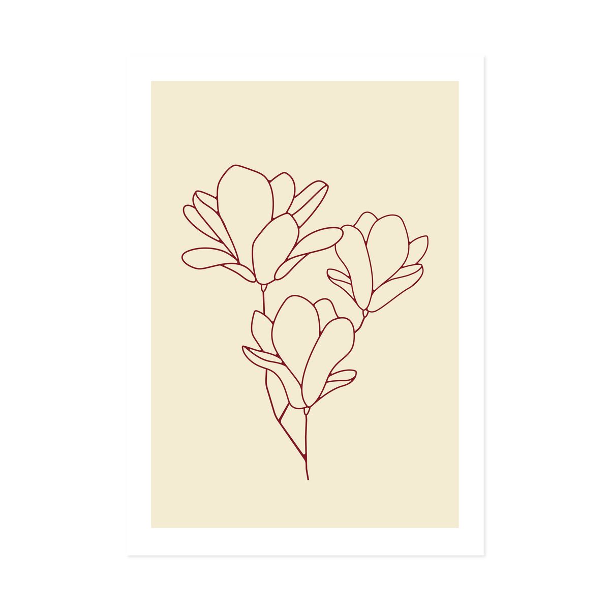 Magnolia Burgundy