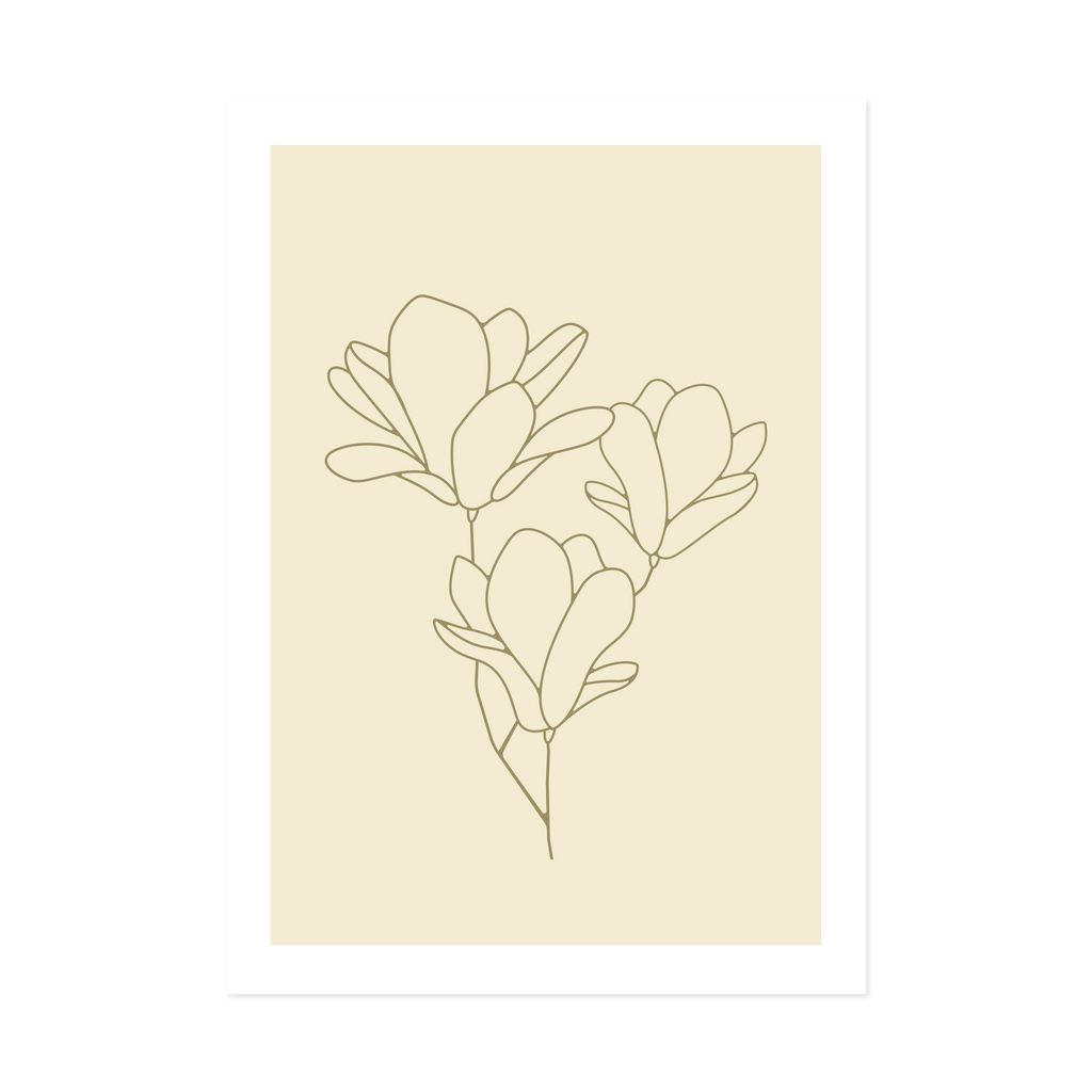 Magnolia Olive