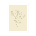 Magnolia Olive